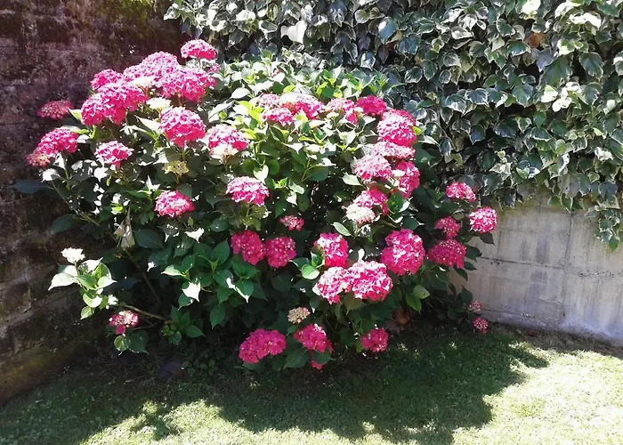 בית נופש La Ermita Camaleño